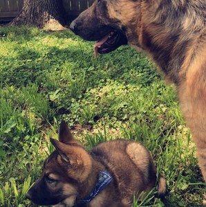 Meet your Posher, Joel